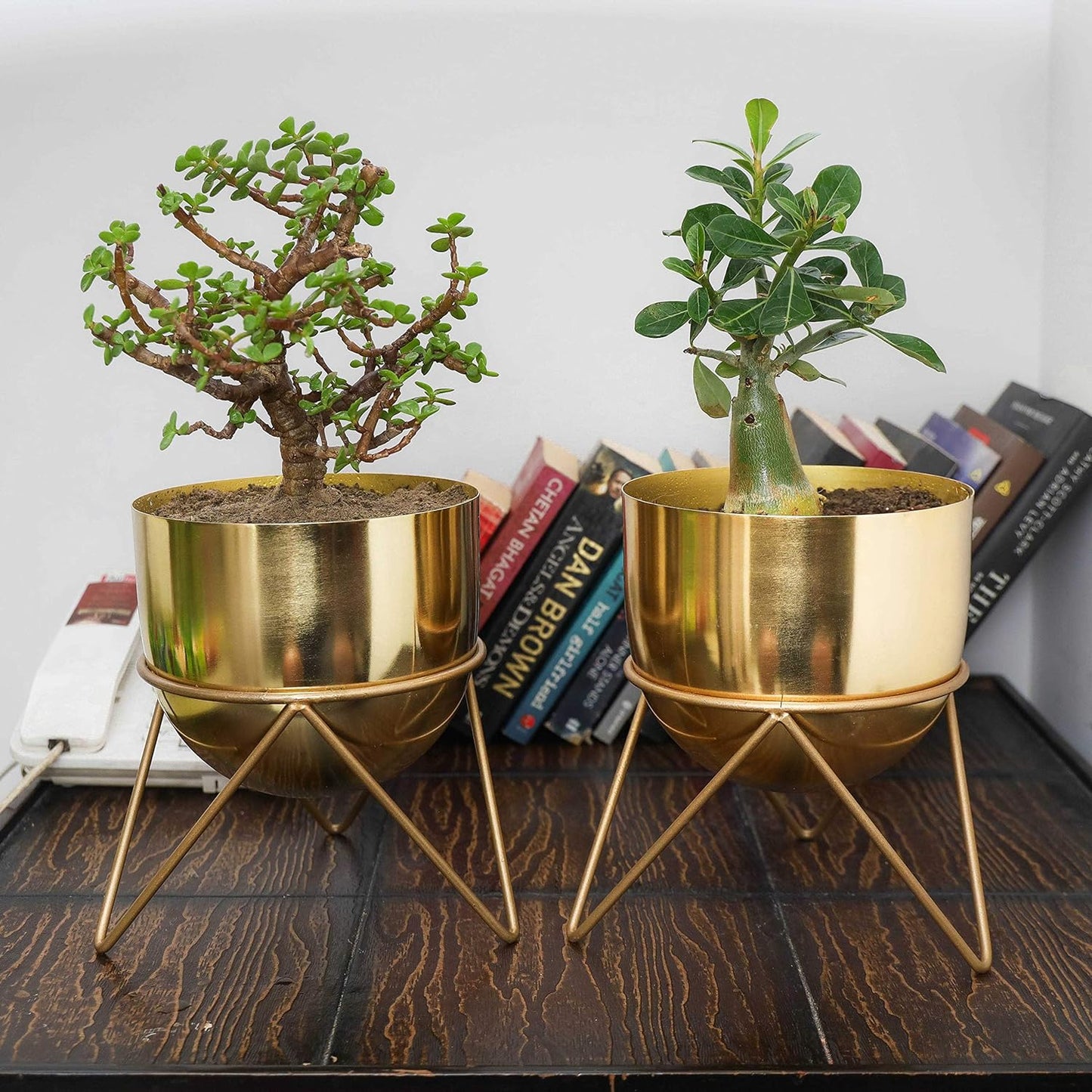 Premium Gold Pot Metal Planters with Stand | Pack of 2