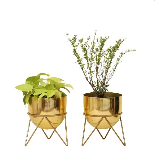 Premium Gold Pot Metal Planters with Stand | Pack of 2