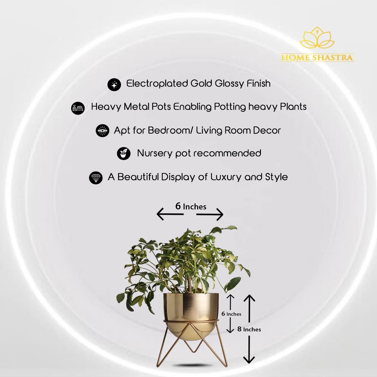 Premium Gold Pot Metal Planters with Stand | Pack of 2