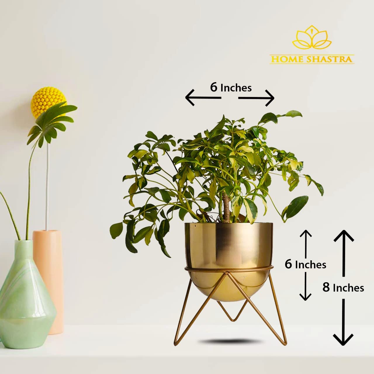 Premium Gold Pot Metal Planters with Stand | Pack of 2
