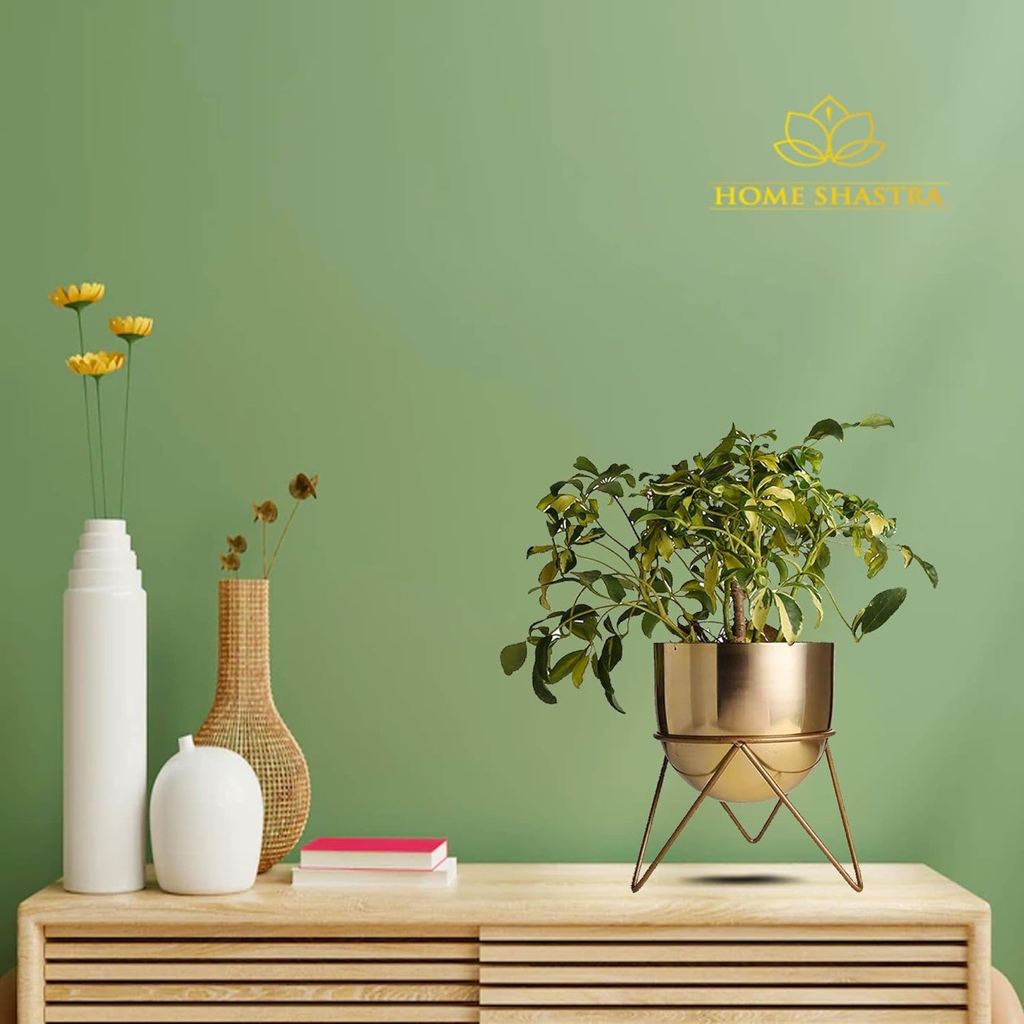 Premium Gold Pot Metal Planters with Stand | Pack of 2