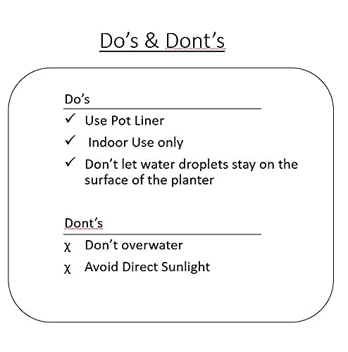 Premium Gold Pot Metal Planters with Stand | Pack of 2